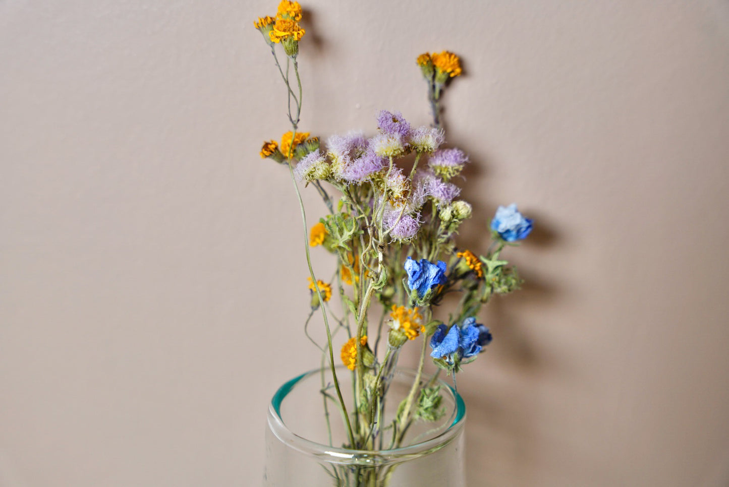 Everlasting Posey- Mini Wildflower Mix (Artist's Choice)