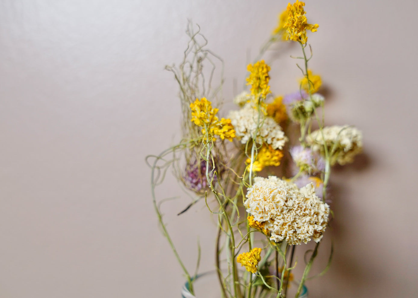 Everlasting Posey- Mini Wildflower Mix (Artist's Choice)