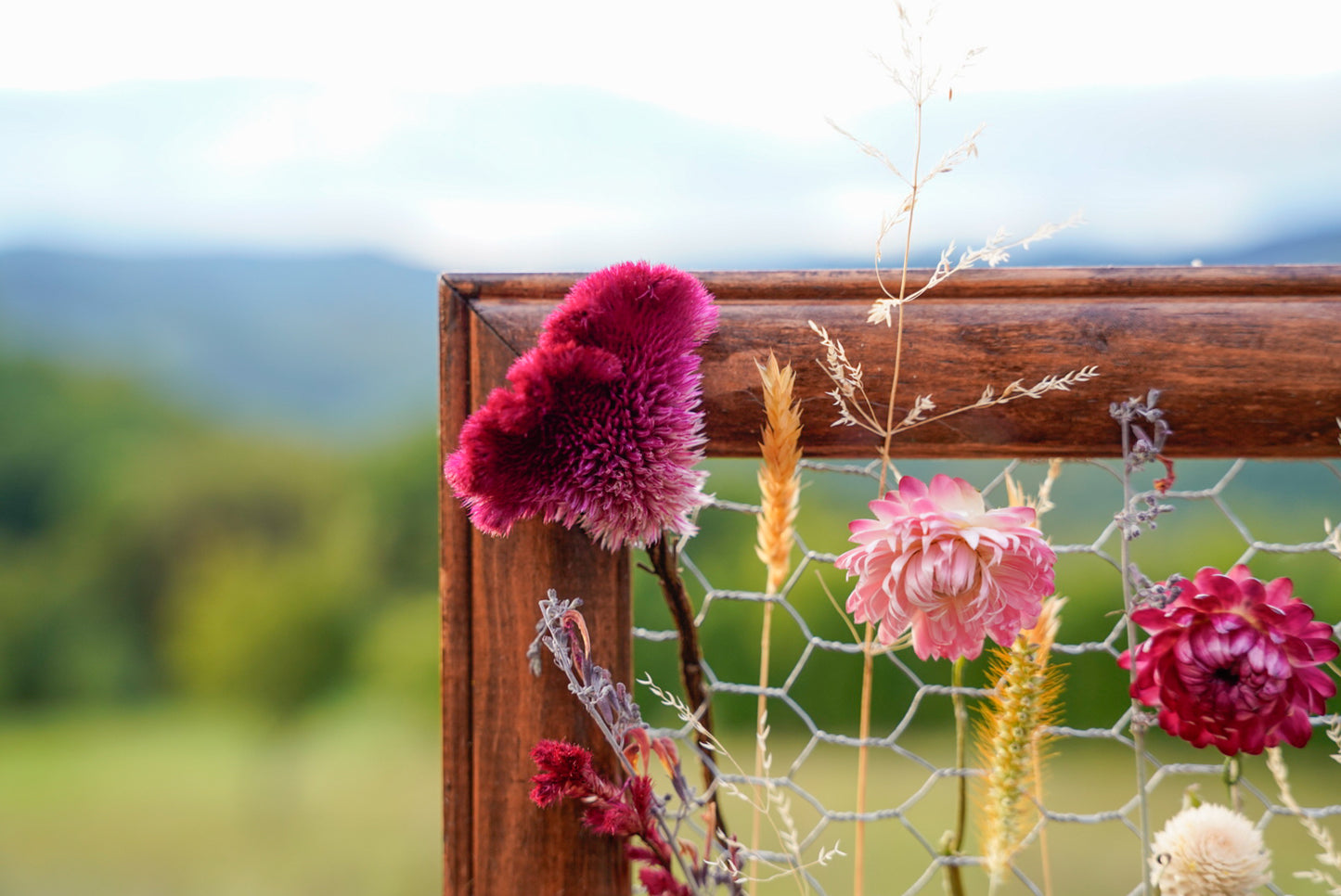Everlasting Flower Panel-Petit Pink
