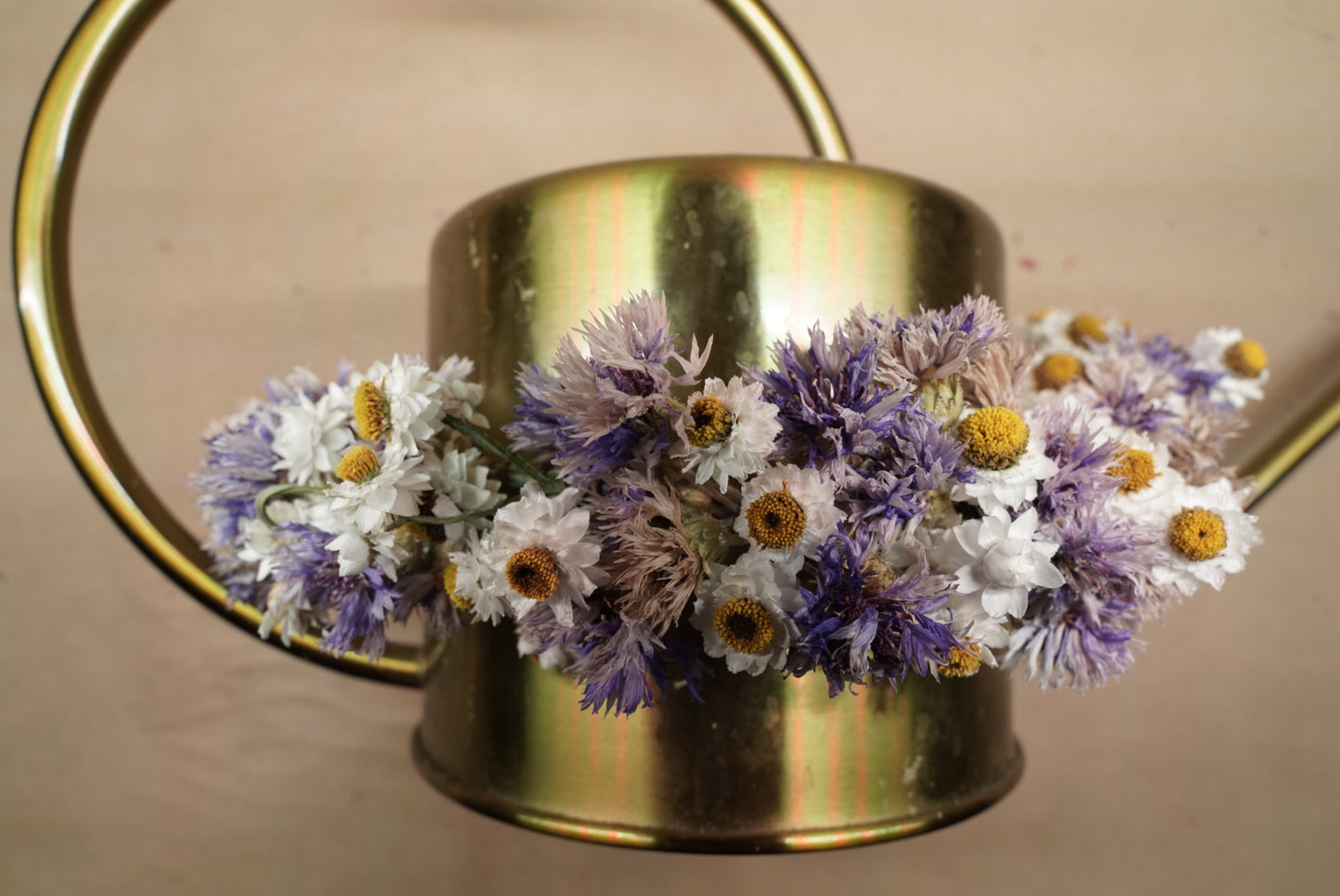 Everlasting Flower Crown