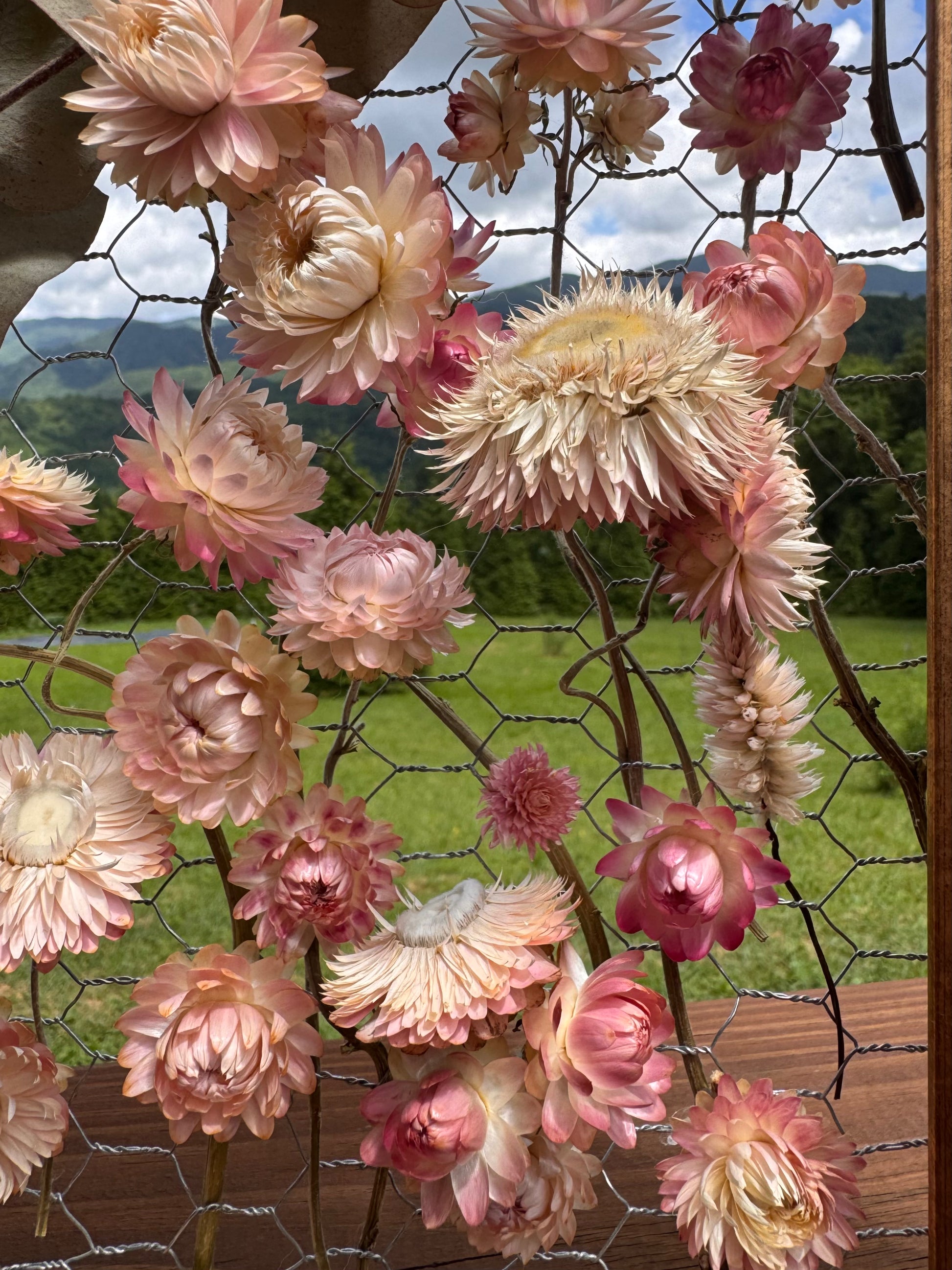 Artistic depiction of pink flowers with a scenic background