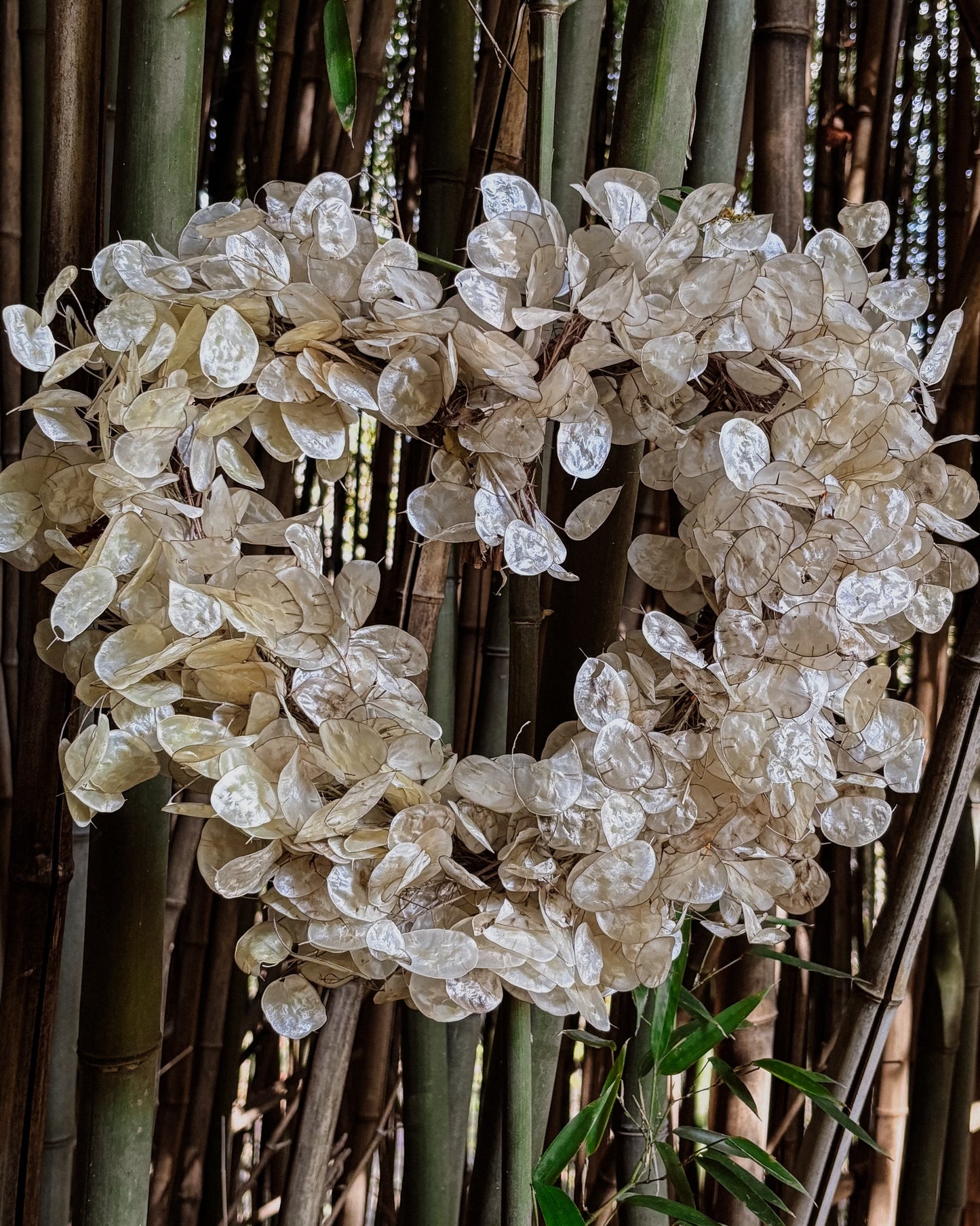 A heart-shaped floral wreath made of dried, seed-like cream and beige petals, displayed against a dense background of green and brown bamboo stalks.