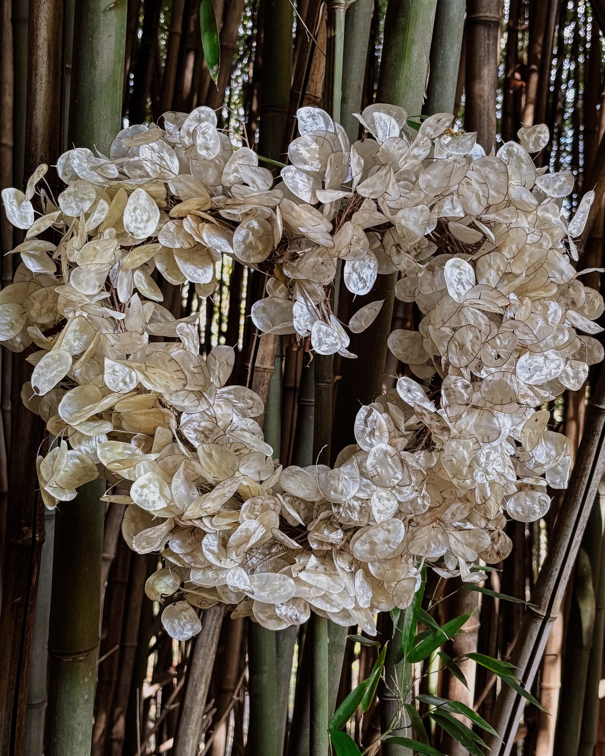 A heart-shaped floral wreath made of dried, seed-like cream and beige petals, displayed against a dense background of green and brown bamboo stalks.
